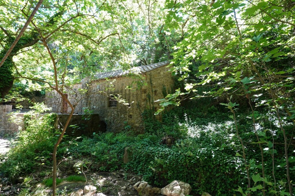 Guida ai grani antichi coltivati in Umbria Featured Image 2 1024x683